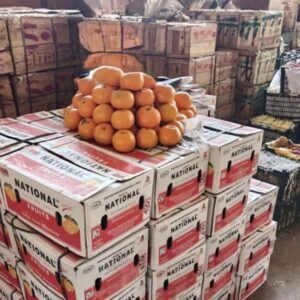 KING SIZE KINNOW – Rare Export Quality 48 Pieces