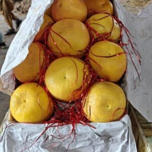 Grey Fruit 36 Pieces