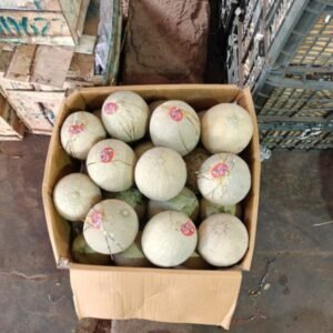 Watermelon (1PC) 4KG+